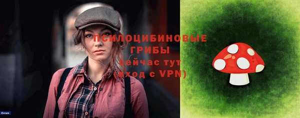 прущая мука Арсеньев