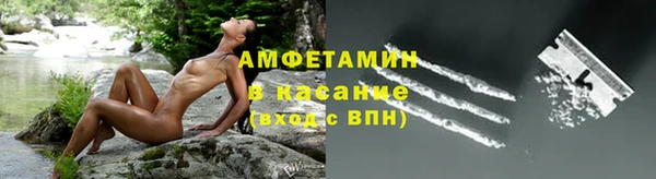 прущая мука Арсеньев