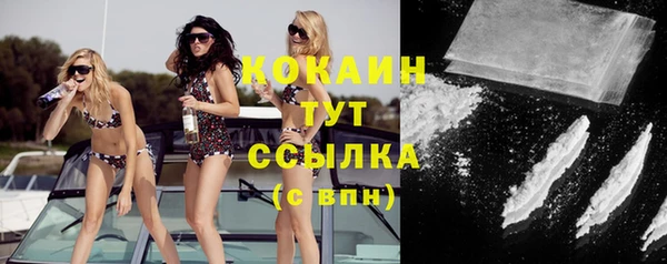 прущая мука Арсеньев
