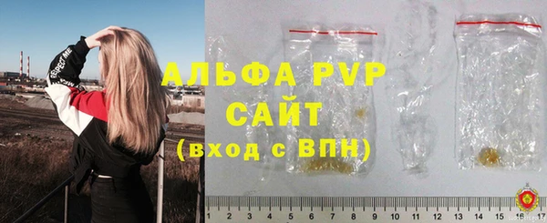 СК Аркадак