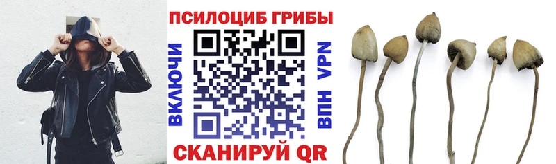 Галлюциногенные грибы ЛСД  купить наркотик  Астрахань 